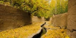 به سایت آموزشکده فنی دختران میبد خوش آمدید 2