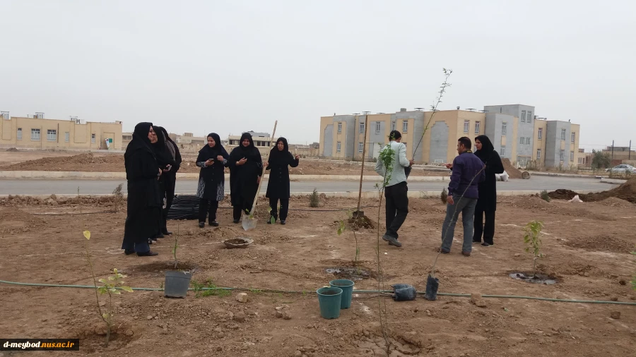 مراسم درختکاری پرسنل به مناسبت روز درختکاری
