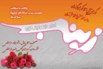 میلاد حضرت زینب (س) و روز پرستار مبارک باد. 2
