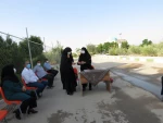 برگزاری سومین جلسه شورای اداری سال 99 در آموزشکده فنی دختران میبد 2