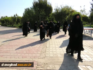 برگزاری پیاده روی نمادین و زیارت قبور شهدای گمنام در آستانه اربعین حسینی 5