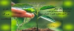 طرح بزرگ همکاشت 2