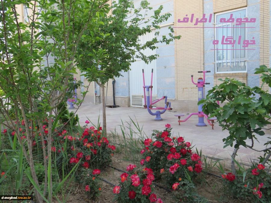 درباره دانشگاه 4
