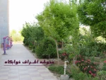 درباره دانشگاه 5