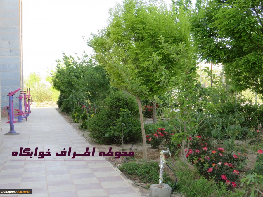 درباره دانشگاه 5