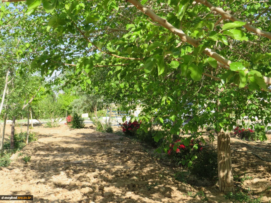 درباره دانشگاه 7