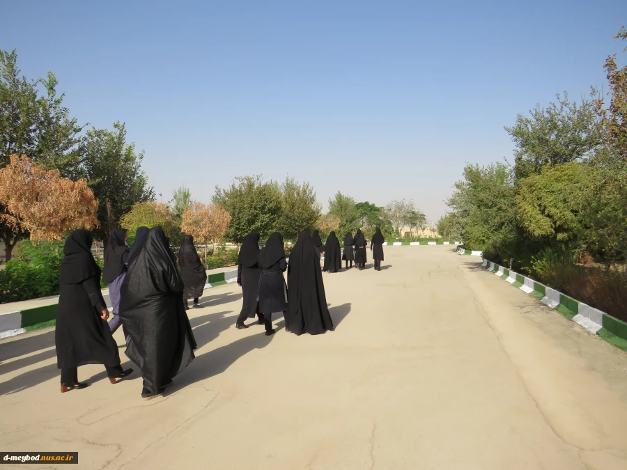 برگزاری پیاده روی نمادین  کارکنان   آموزشکده فنی دختران میبد به مناسبت اربعین حسینی  3