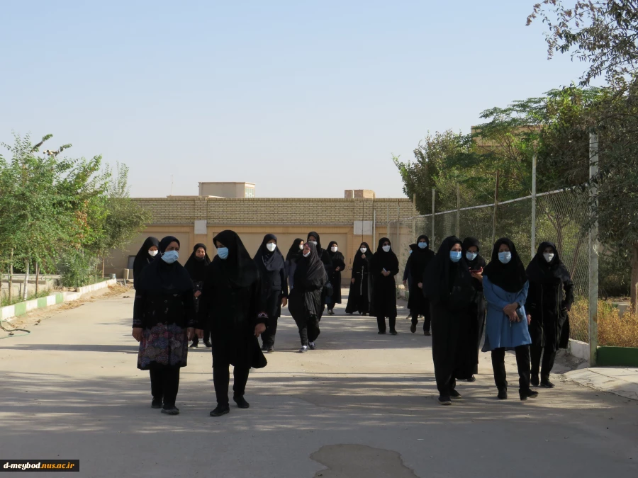 برگزاری پیاده روی نمادین  کارکنان   آموزشکده فنی دختران میبد به مناسبت اربعین حسینی  6