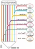 اسامی دانشجویانس که در کانون همیاران سلامت انتخاب شده اند 2
