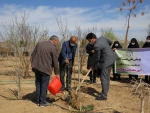 کاشت 135اصله درخت مثمروغیرمثمر به مناسبت روزدرختکاری وهفته منابع طبیعی در آموزشکده فنی دختران میبد 5