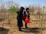کاشت 135اصله درخت مثمروغیرمثمر به مناسبت روزدرختکاری وهفته منابع طبیعی در آموزشکده فنی دختران میبد 8