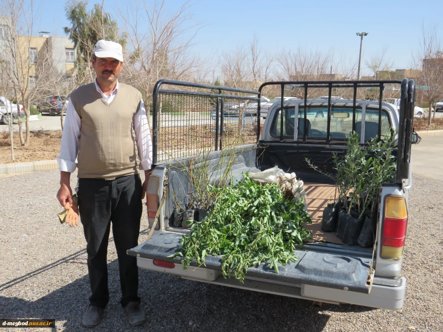 کاشت 135اصله درخت مثمروغیرمثمر به مناسبت روزدرختکاری وهفته منابع طبیعی در آموزشکده فنی دختران میبد 17