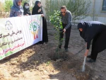 کاشت نهال به مناسبت روز درختکاری وهفته منابع طبیعی در آموزشکده فنی دختران میبد 3