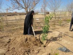 کاشت نهال به مناسبت روز درختکاری وهفته منابع طبیعی در آموزشکده فنی دختران میبد 7