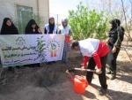 کاشت نهال به مناسبت روز درختکاری وهفته منابع طبیعی در آموزشکده فنی دختران میبد 8