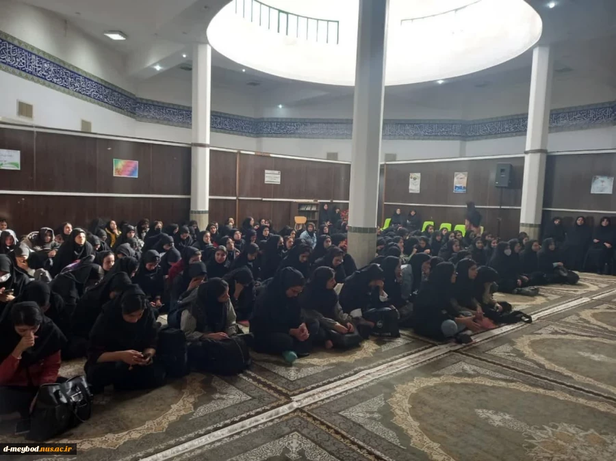همایش دانشجو،جوانان و آسیب های اجتماعی در دانشگاه ملی مهارت واحد دختران میبد 2