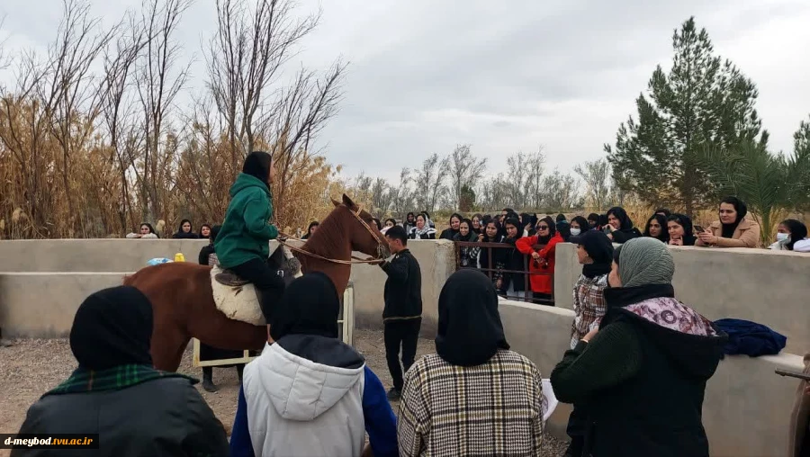 برگزاری جلسه ای با عنوان سواد رسانه ومهارتهای زندگی در آموزشکده ملی مهارت دختران میبد 2