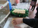 برگزاری ایستگاه صلواتی به مناسبت تولد حضرت معصومه(س) وروز دختر 2