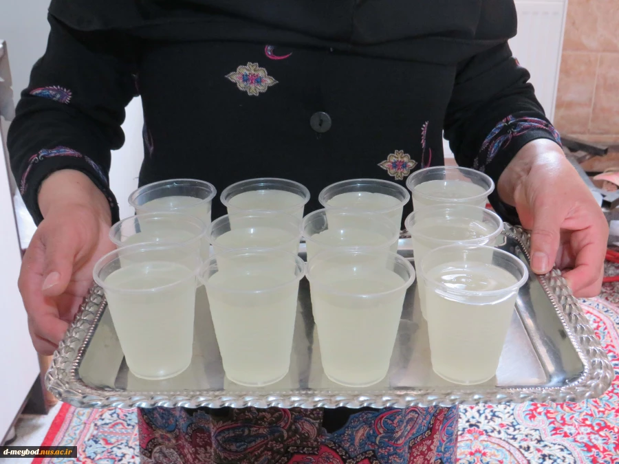 برگزاری ایستگاه صلواتی به مناسبت تولد حضرت معصومه(س) وروز دختر 4