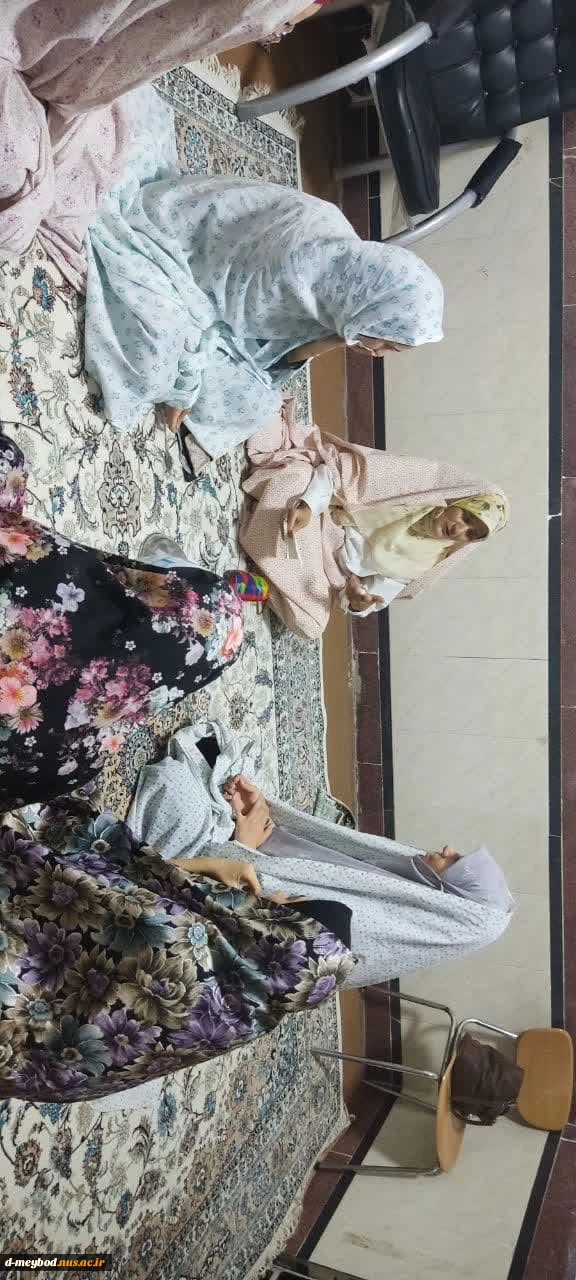 برگزاری جلسه ای دوستانه به مناسبت میلاد کریمه اهل بیت در خوابگاه دانشجویی شقایق آموزشکده ملی مهارت دختران میبد 7