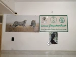 بازدید جمعی از دانشجویان خوابگاه شقایق مرکز دختران میبد ازموزه مارهای میبد 2