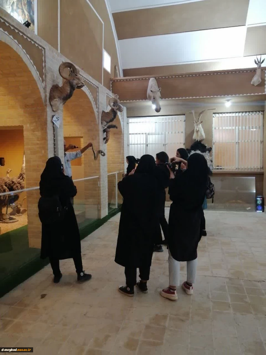 بازدید جمعی از دانشجویان خوابگاه شقایق مرکز دختران میبد ازموزه مارهای میبد 3