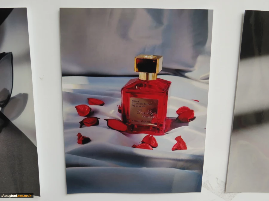 ژوژمان 1404 8