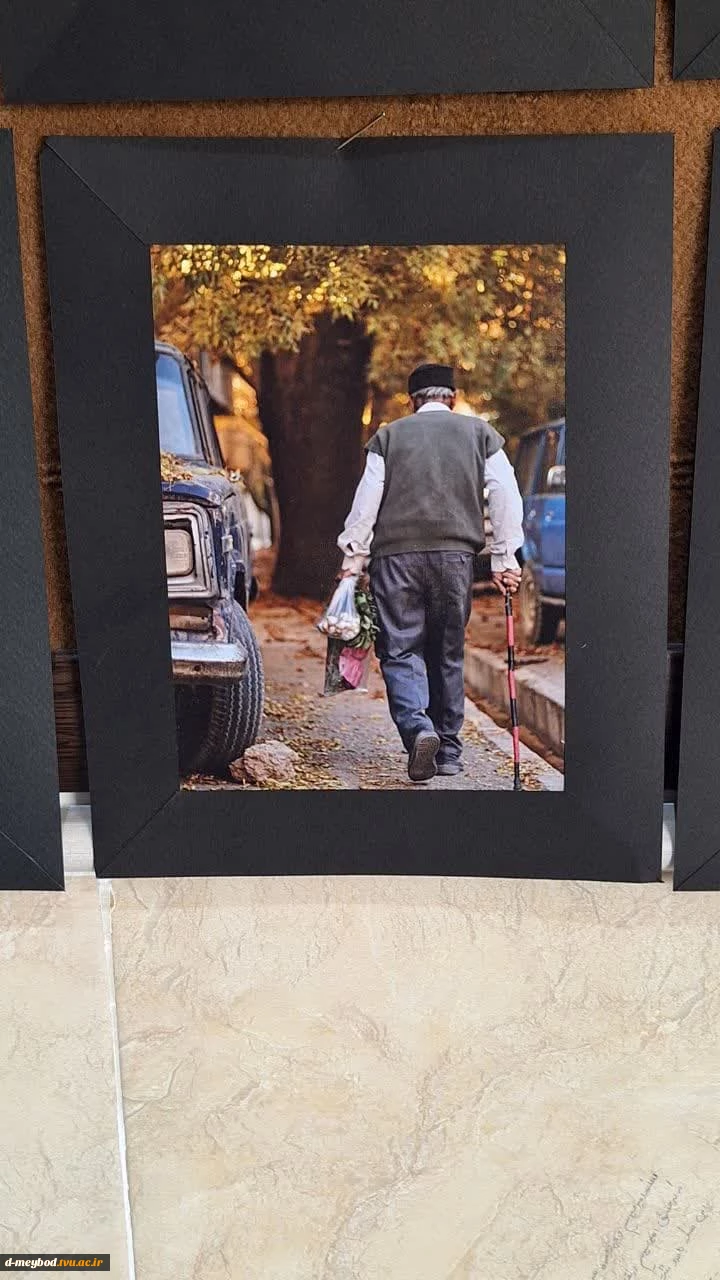 ژوژمان 1404 33