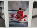 ژوژمان 1404 33