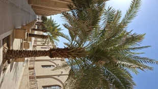 بازدید تخصصی دانشجویان رشته فناوری اطلاعات (IT)
 4