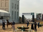 حضور دانشجویان دانشگاه ملی مهارت واحد دختران میبد در جشنواره زیبایی اسب اصیل عرب کشور
 2