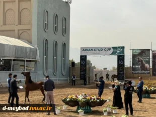 حضور دانشجویان دانشگاه ملی مهارت واحد دختران میبد در جشنواره زیبایی اسب اصیل عرب کشور
 2