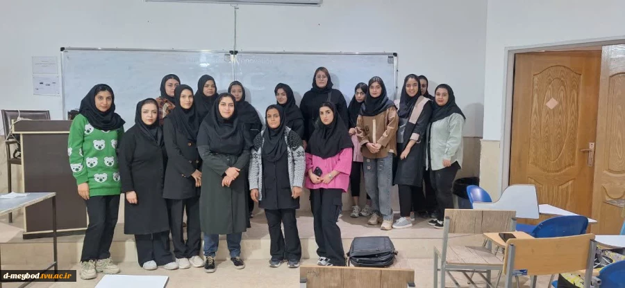 برگزاری رویداد هم‌اندیشی «آینده‌نگری در حوزه گرافیک» در آموزشکده ملی مهارت دختران میبد 6