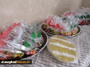 میزبانی آموزشکده دختران میبد از پیکر پاک شهید گمنام، در آستانه ایام شهادت حضرت فاطمه زهرا(س) 5