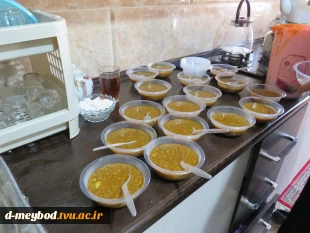 برپایی موکب فاطمی و توزیع عدسی درآستانه شهادت حضرت زهرا(س) در اموزشکده ملی مهارت دختران مسید 8