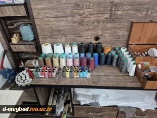 بازدید از کارگاه دانشجویان کارآفرین به مناسبت هفته کارآفرینی در آموزشکده ملی مهارت دختران میبد 2