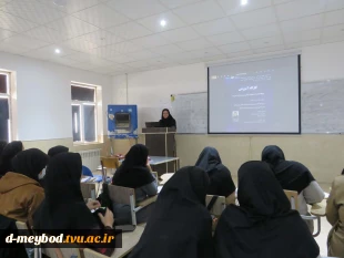 برگزاری کارگاه آموزشی «جایگاه تجزیه و تحلیل و طراحی سیستم‌ها در مدیریت» در دانشگاه ملی مهارت دختران میبد 2