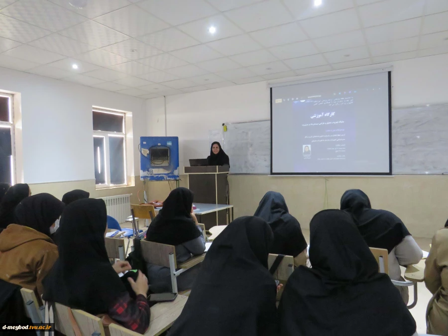 برگزاری کارگاه آموزشی «جایگاه تجزیه و تحلیل و طراحی سیستم‌ها در مدیریت» در دانشگاه ملی مهارت دختران میبد 2
