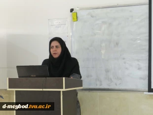 برگزاری کارگاه آموزشی «جایگاه تجزیه و تحلیل و طراحی سیستم‌ها در مدیریت» در دانشگاه ملی مهارت دختران میبد 3