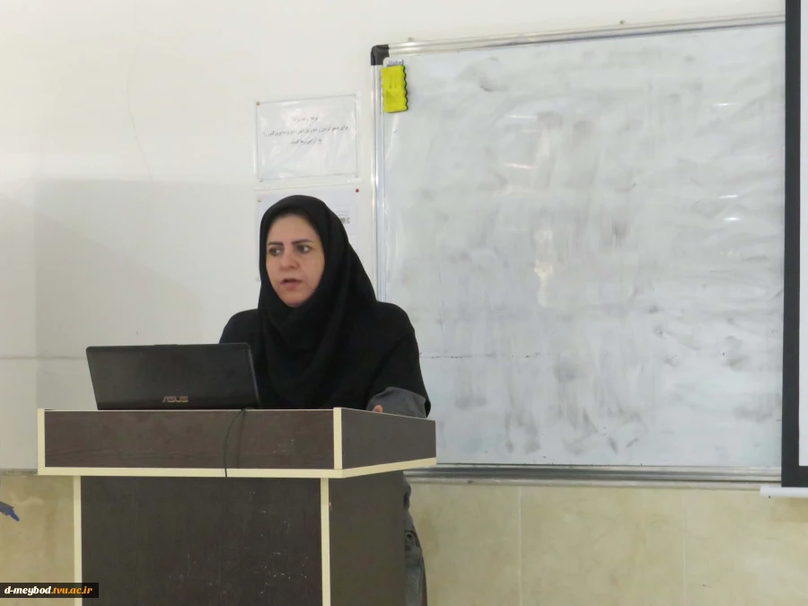 برگزاری کارگاه آموزشی «جایگاه تجزیه و تحلیل و طراحی سیستم‌ها در مدیریت» در دانشگاه ملی مهارت دختران میبد 3