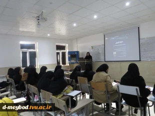 برگزاری کارگاه آموزشی «جایگاه تجزیه و تحلیل و طراحی سیستم‌ها در مدیریت» در دانشگاه ملی مهارت دختران میبد 5