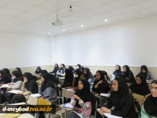 برگزاری کارگاه آموزشی «جایگاه تجزیه و تحلیل و طراحی سیستم‌ها در مدیریت» در دانشگاه ملی مهارت دختران میبد 6