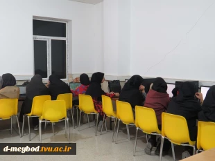 برگزاری کارگاه تخصصی هوش مصنوعی با محوریت آشنایی با ChatGPT در آموزشکده دختران میبد 6