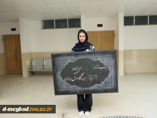 آیات نور ترکیبی از هنر ومعنویت در قالب تابلوهای گرافیکی 5