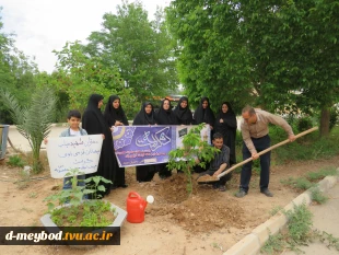 گرامیداشت یاد شهدای مدرسه «شجره طیبه» میناب با آیین درختکاری در آموزشکده ملی مهارت دختران میبد 2