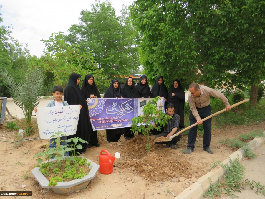 گرامیداشت یاد شهدای مدرسه «شجره طیبه» میناب با آیین درختکاری در آموزشکده ملی مهارت دختران میبد 2