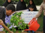 گرامیداشت یاد شهدای مدرسه «شجره طیبه» میناب با آیین درختکاری در آموزشکده ملی مهارت دختران میبد 4
