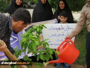 گرامیداشت یاد شهدای مدرسه «شجره طیبه» میناب با آیین درختکاری در آموزشکده ملی مهارت دختران میبد 4