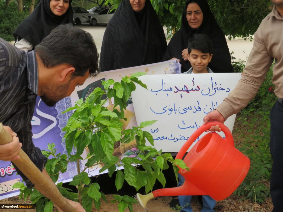 گرامیداشت یاد شهدای مدرسه «شجره طیبه» میناب با آیین درختکاری در آموزشکده ملی مهارت دختران میبد 4