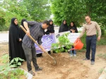 گرامیداشت یاد شهدای مدرسه «شجره طیبه» میناب با آیین درختکاری در آموزشکده ملی مهارت دختران میبد 5